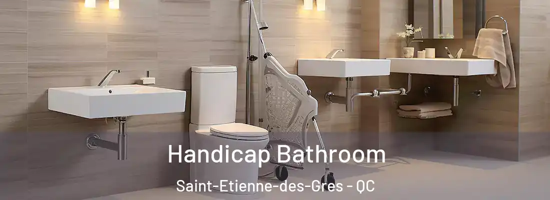  Handicap Bathroom Saint-Etienne-des-Gres - QC