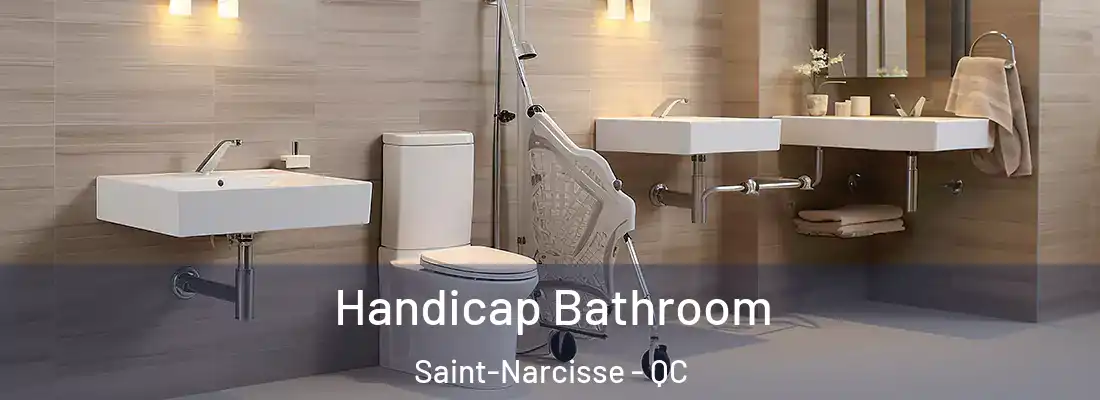  Handicap Bathroom Saint-Narcisse - QC