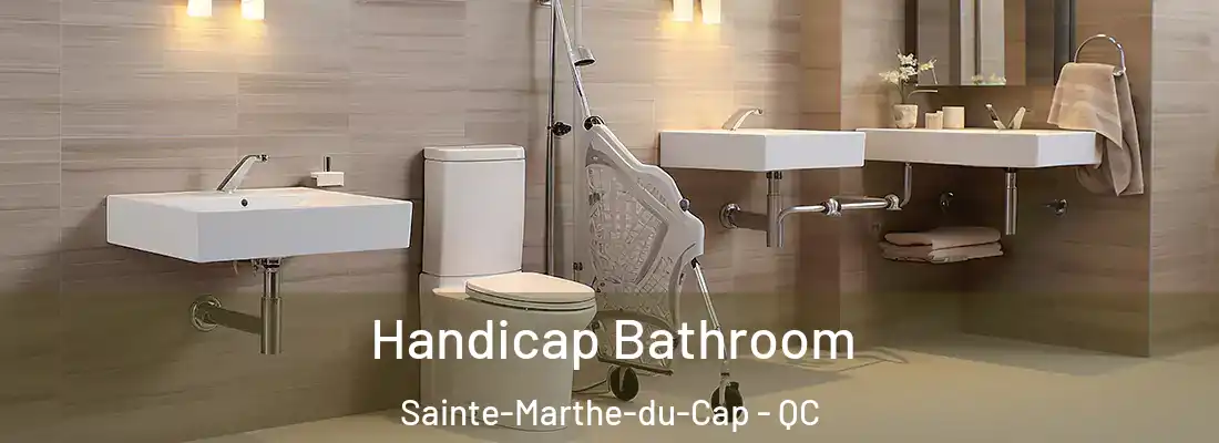  Handicap Bathroom Sainte-Marthe-du-Cap - QC