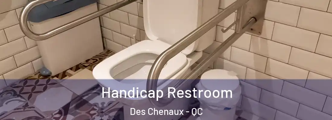  Handicap Restroom Des Chenaux - QC
