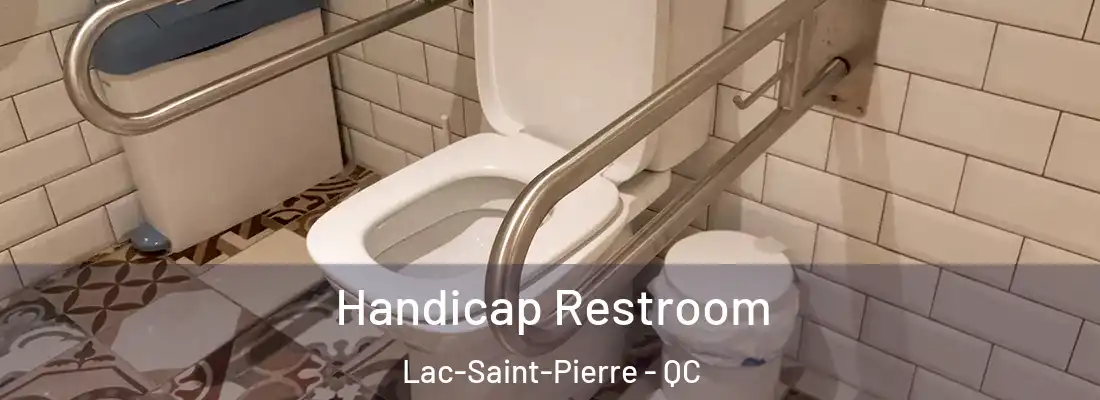  Handicap Restroom Lac-Saint-Pierre - QC