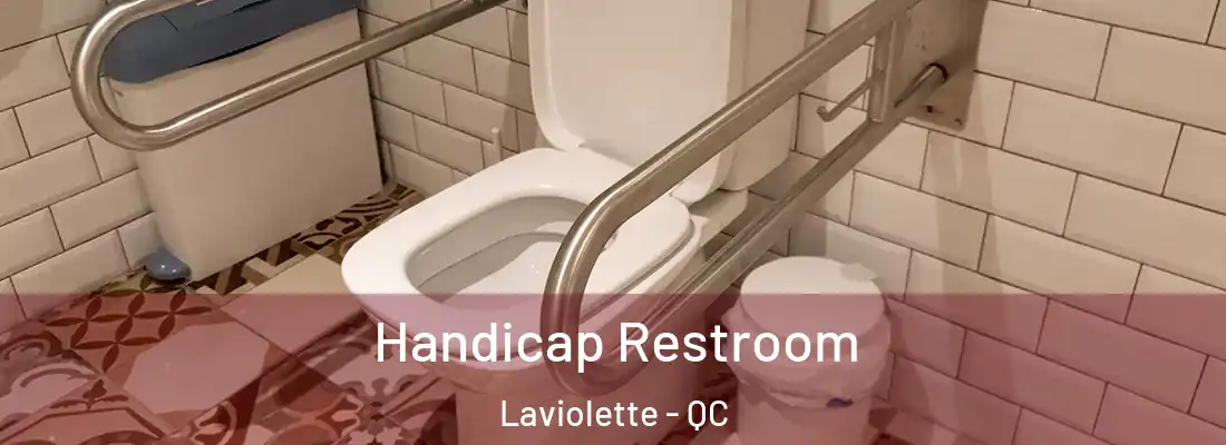  Handicap Restroom Laviolette - QC