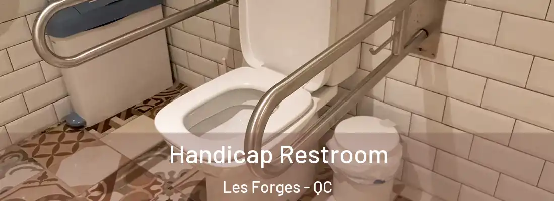  Handicap Restroom Les Forges - QC