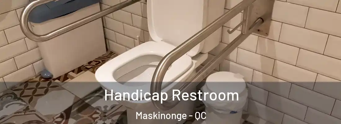  Handicap Restroom Maskinonge - QC