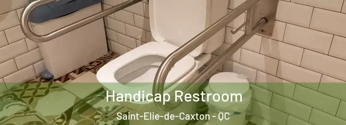  Handicap Restroom Saint-Elie-de-Caxton - QC