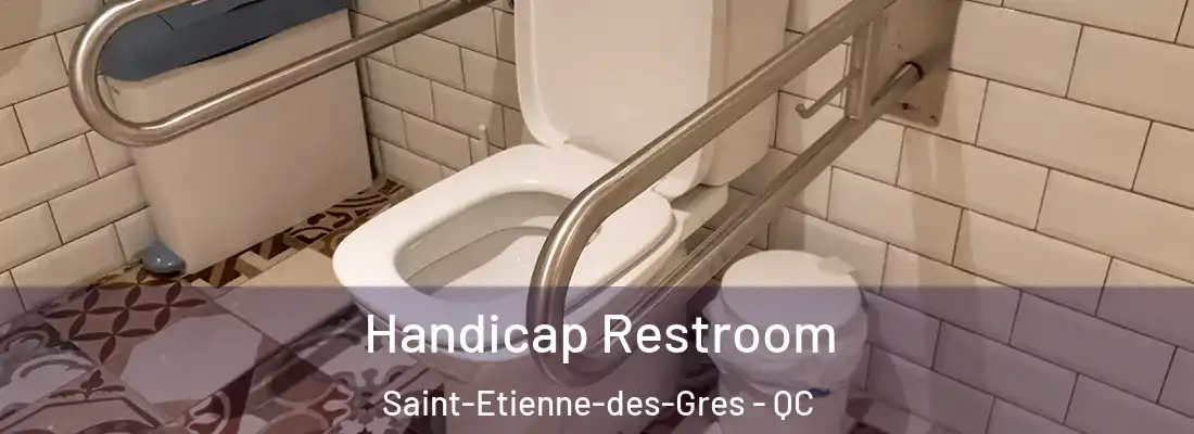  Handicap Restroom Saint-Etienne-des-Gres - QC