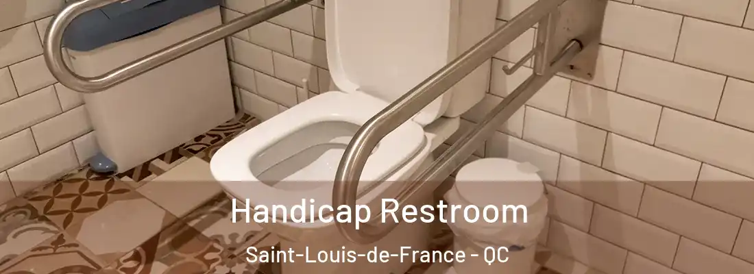  Handicap Restroom Saint-Louis-de-France - QC