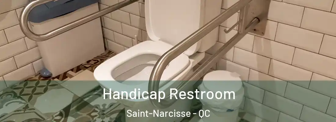  Handicap Restroom Saint-Narcisse - QC