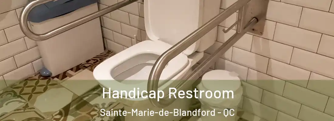  Handicap Restroom Sainte-Marie-de-Blandford - QC