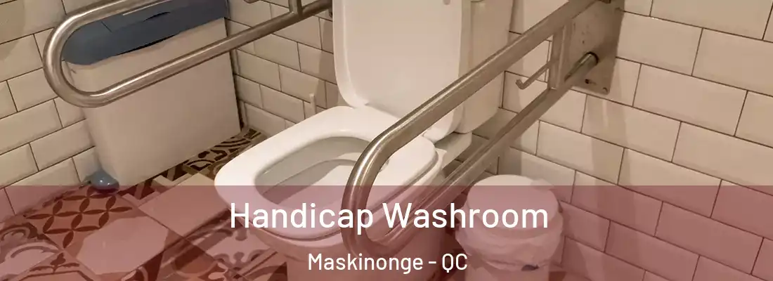  Handicap Washroom Maskinonge - QC