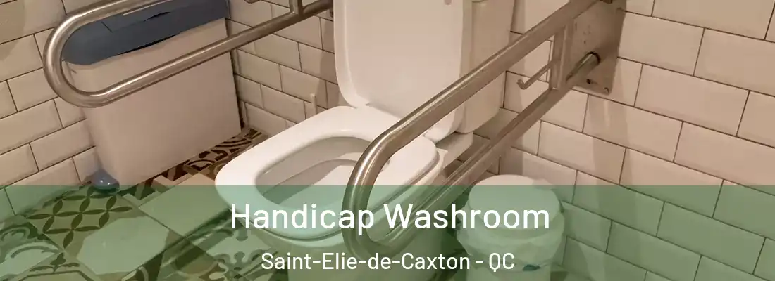  Handicap Washroom Saint-Elie-de-Caxton - QC