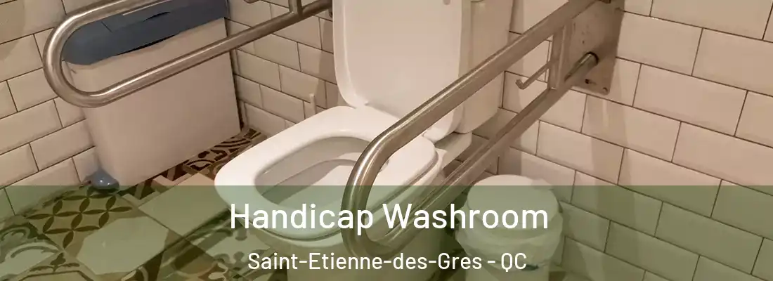  Handicap Washroom Saint-Etienne-des-Gres - QC