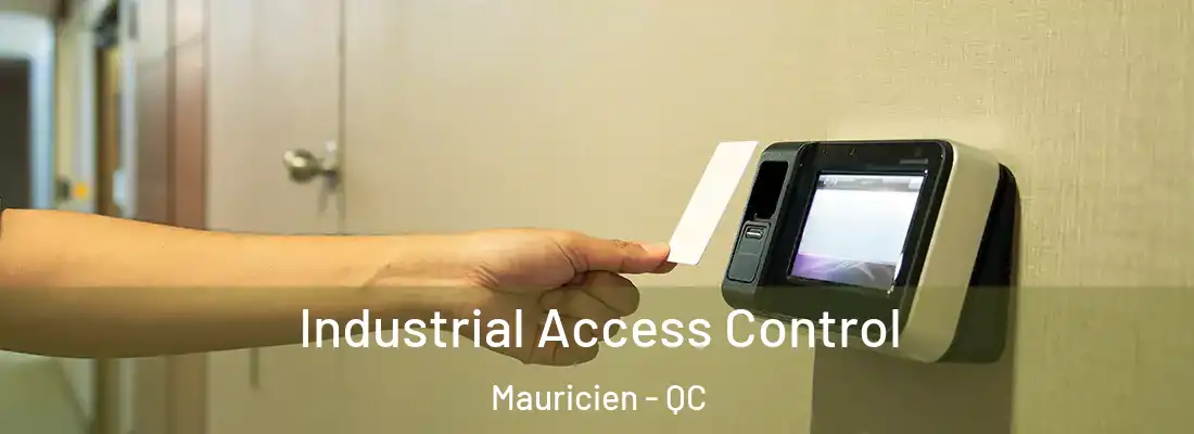  Industrial Access Control Mauricien - QC
