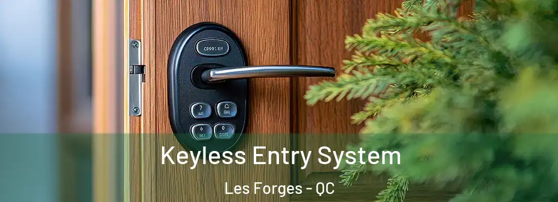  Keyless Entry System Les Forges - QC