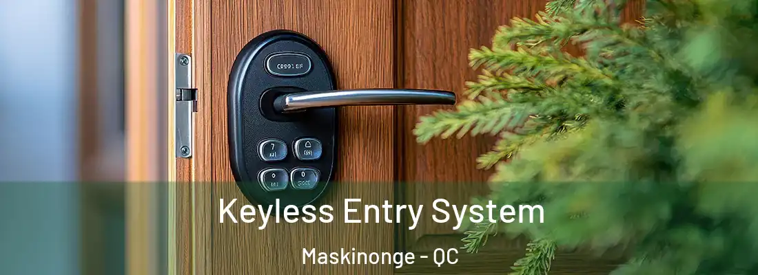  Keyless Entry System Maskinonge - QC