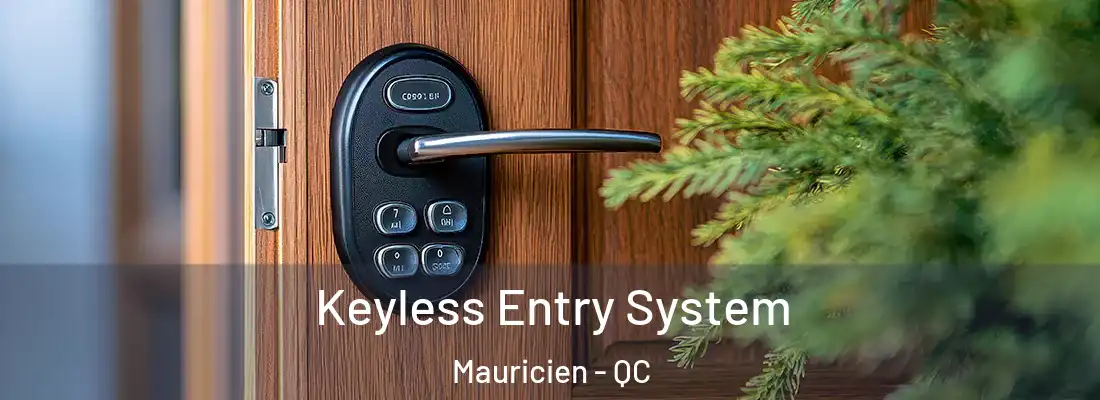  Keyless Entry System Mauricien - QC