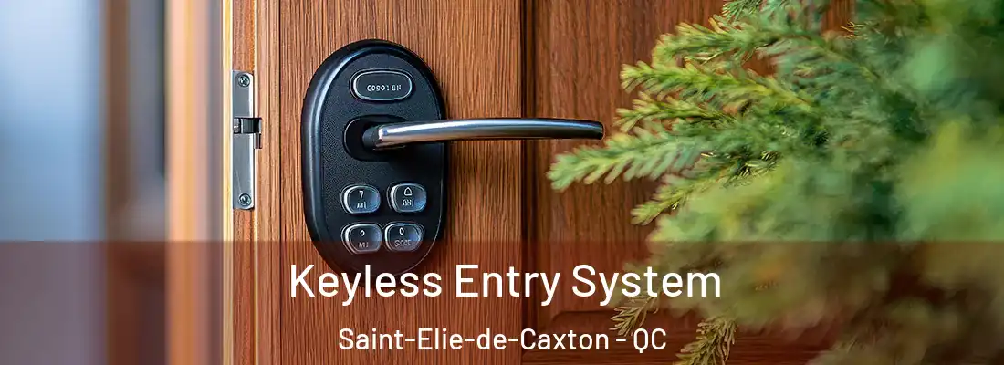  Keyless Entry System Saint-Elie-de-Caxton - QC