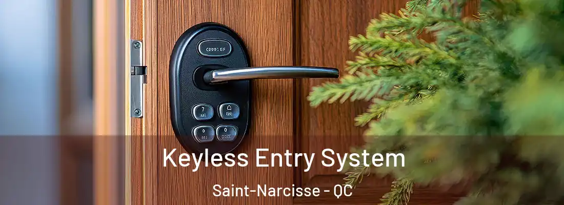  Keyless Entry System Saint-Narcisse - QC