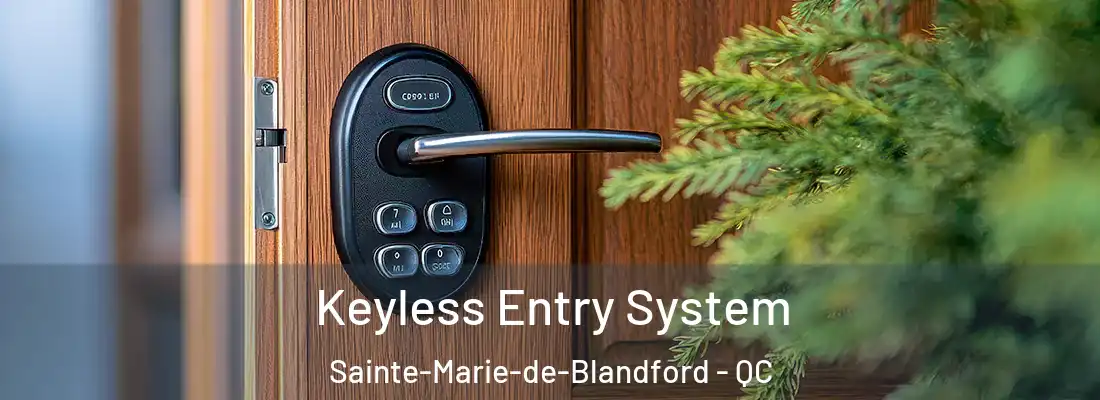  Keyless Entry System Sainte-Marie-de-Blandford - QC