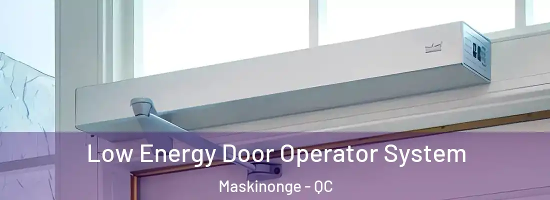  Low Energy Door Operator System Maskinonge - QC