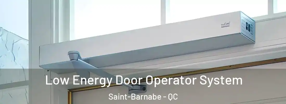  Low Energy Door Operator System Saint-Barnabe - QC