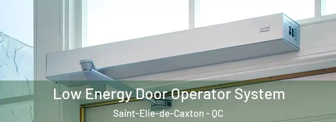  Low Energy Door Operator System Saint-Elie-de-Caxton - QC