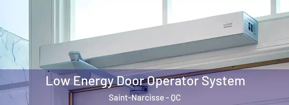  Low Energy Door Operator System Saint-Narcisse - QC