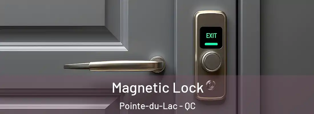  Magnetic Lock Pointe-du-Lac - QC