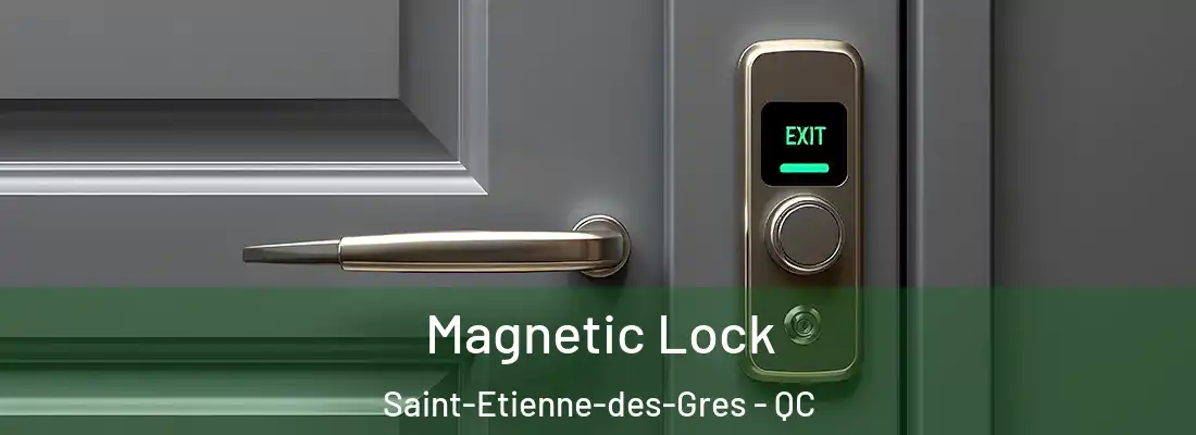 Magnetic Lock Saint-Etienne-des-Gres - QC