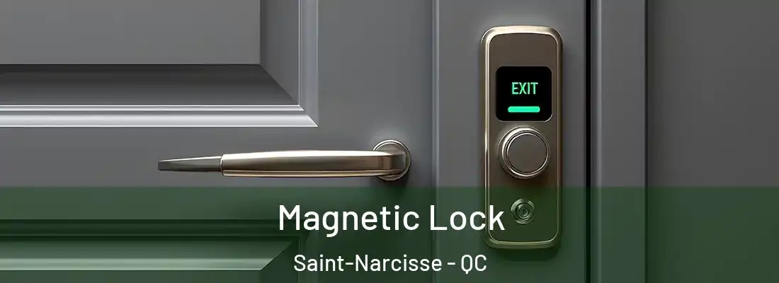  Magnetic Lock Saint-Narcisse - QC
