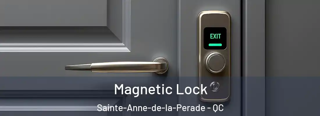 Magnetic Lock Sainte-Anne-de-la-Perade - QC