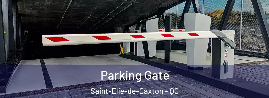  Parking Gate Saint-Elie-de-Caxton - QC