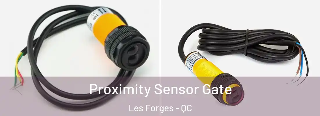  Proximity Sensor Gate Les Forges - QC