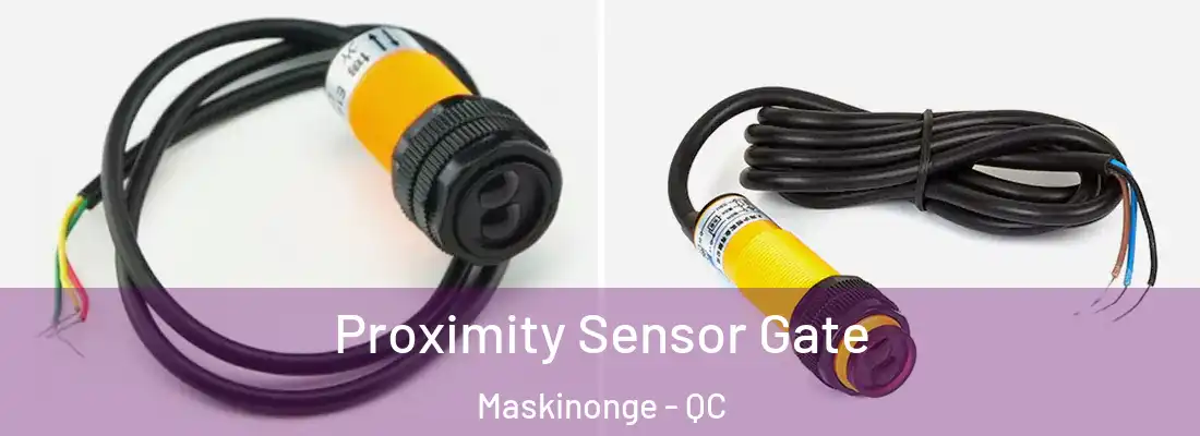  Proximity Sensor Gate Maskinonge - QC