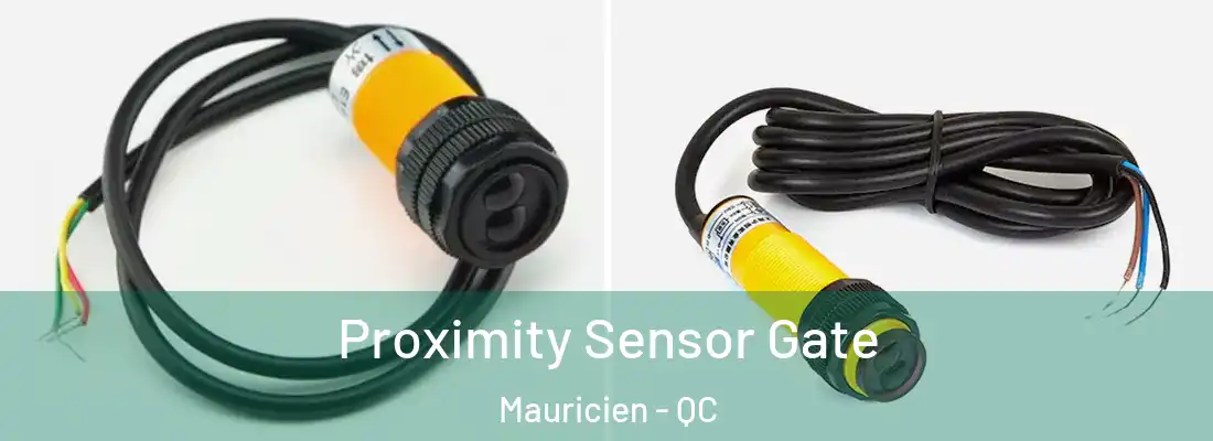  Proximity Sensor Gate Mauricien - QC