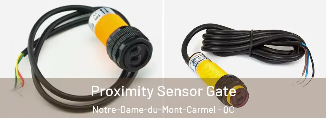  Proximity Sensor Gate Notre-Dame-du-Mont-Carmel - QC
