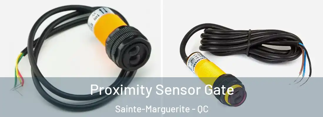  Proximity Sensor Gate Sainte-Marguerite - QC