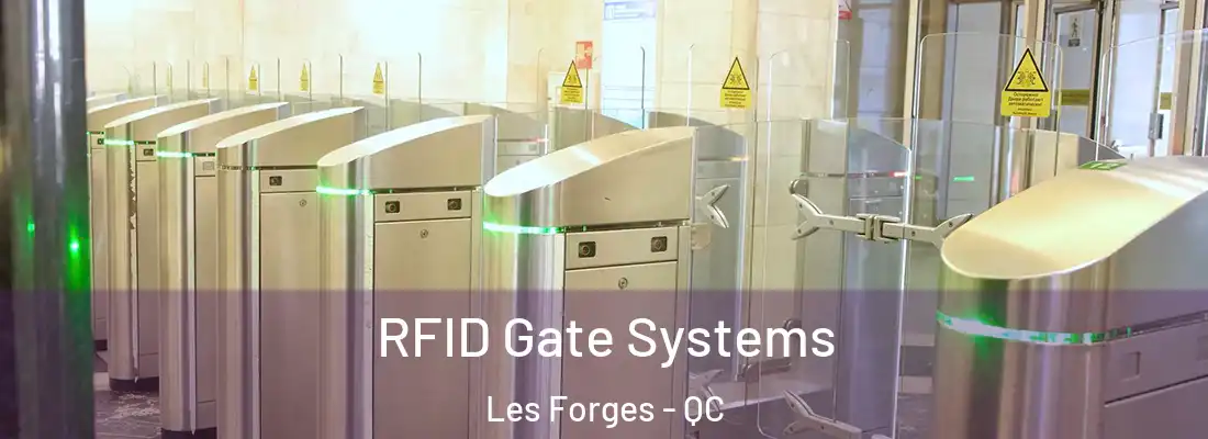  RFID Gate Systems Les Forges - QC