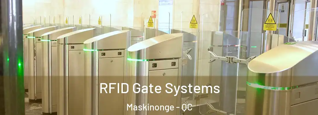  RFID Gate Systems Maskinonge - QC