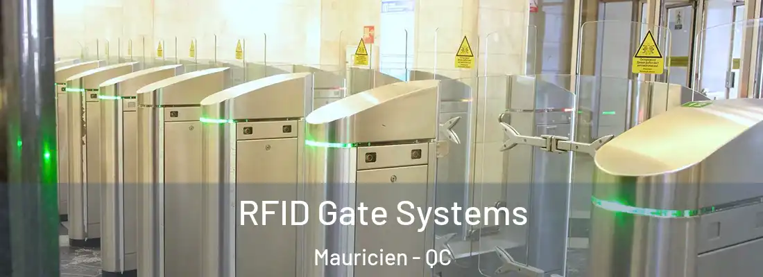  RFID Gate Systems Mauricien - QC