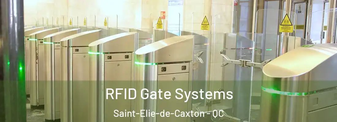  RFID Gate Systems Saint-Elie-de-Caxton - QC