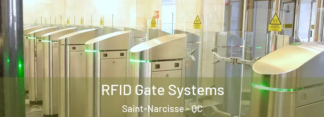  RFID Gate Systems Saint-Narcisse - QC