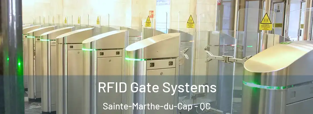 RFID Gate Systems Sainte-Marthe-du-Cap - QC
