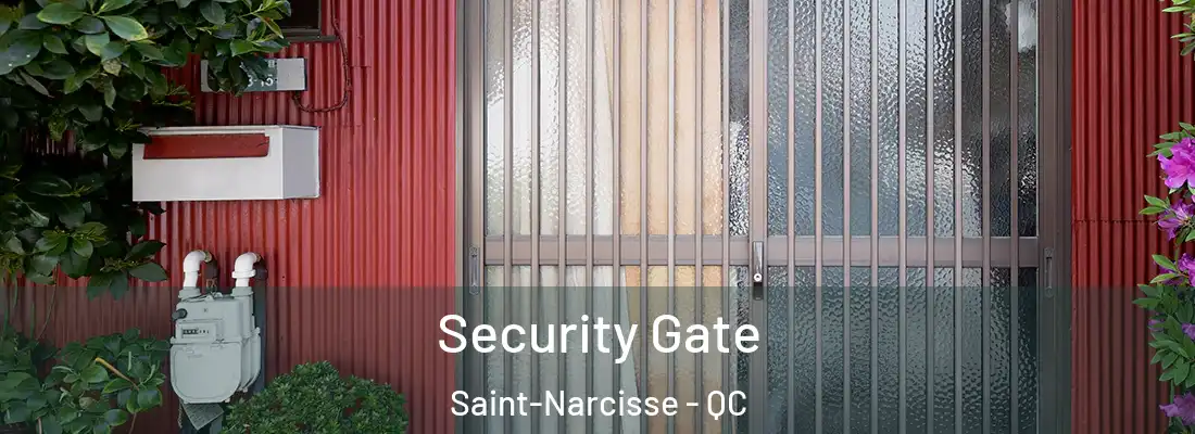  Security Gate Saint-Narcisse - QC