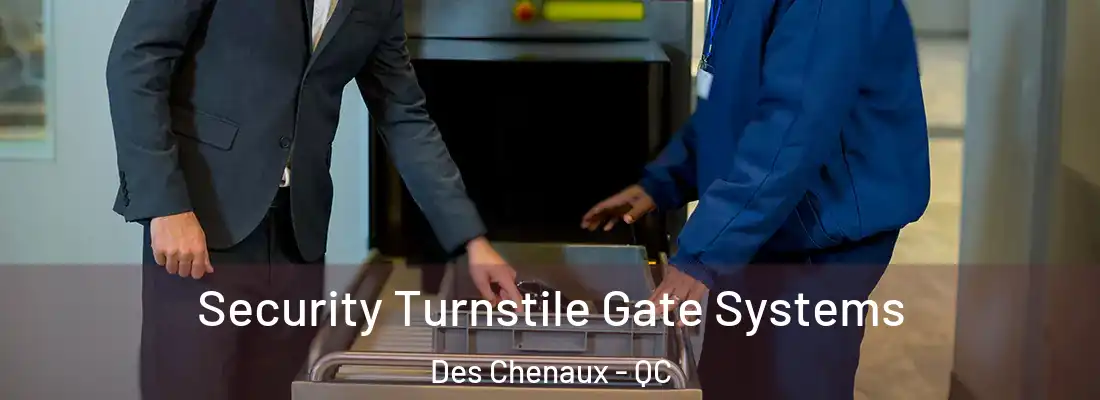  Security Turnstile Gate Systems Des Chenaux - QC