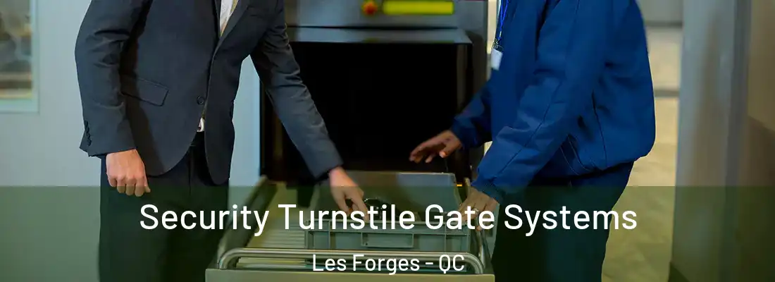 Security Turnstile Gate Systems Les Forges - QC