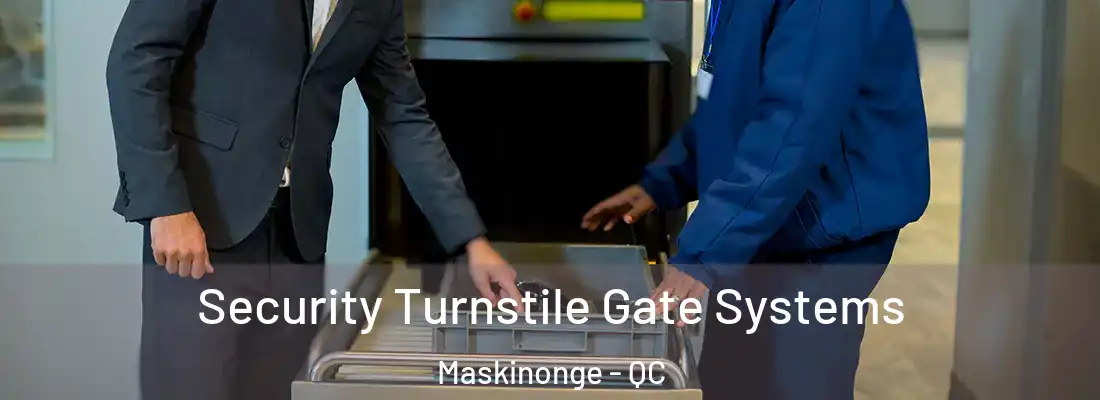  Security Turnstile Gate Systems Maskinonge - QC