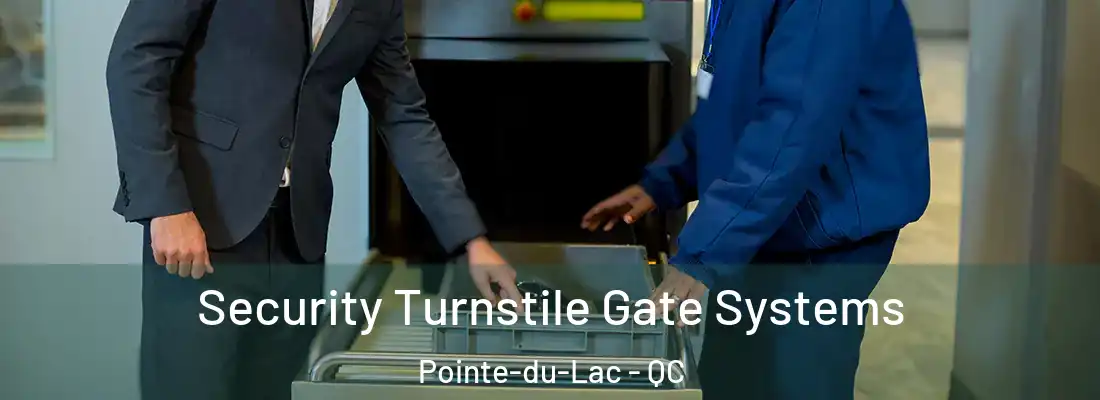  Security Turnstile Gate Systems Pointe-du-Lac - QC