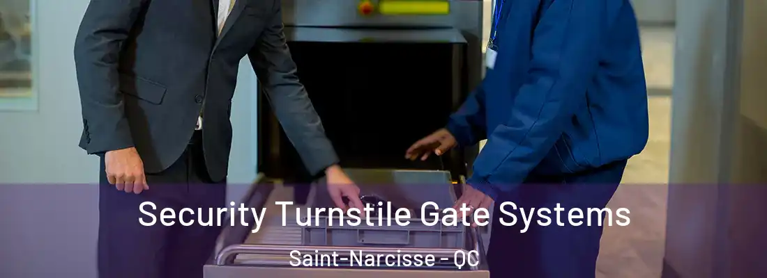  Security Turnstile Gate Systems Saint-Narcisse - QC