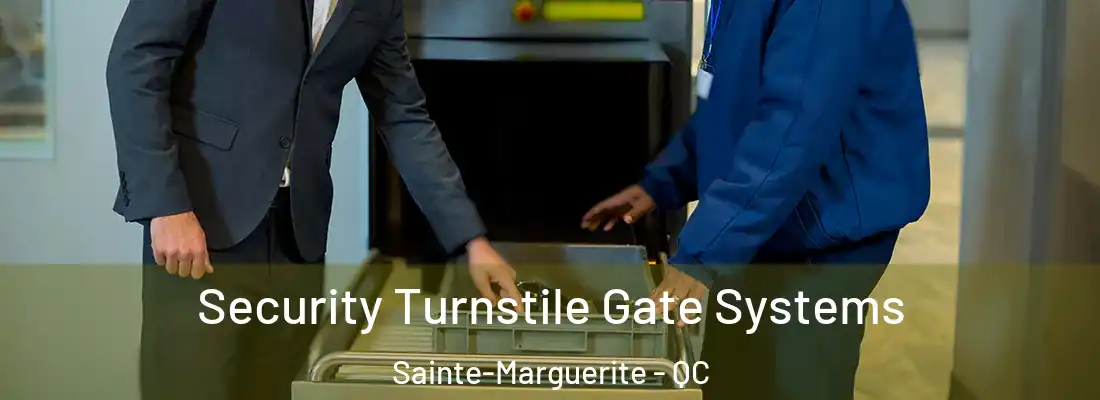  Security Turnstile Gate Systems Sainte-Marguerite - QC